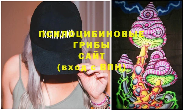 шишки Абдулино
