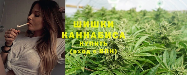 шишки Абдулино