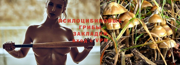 шишки Абдулино